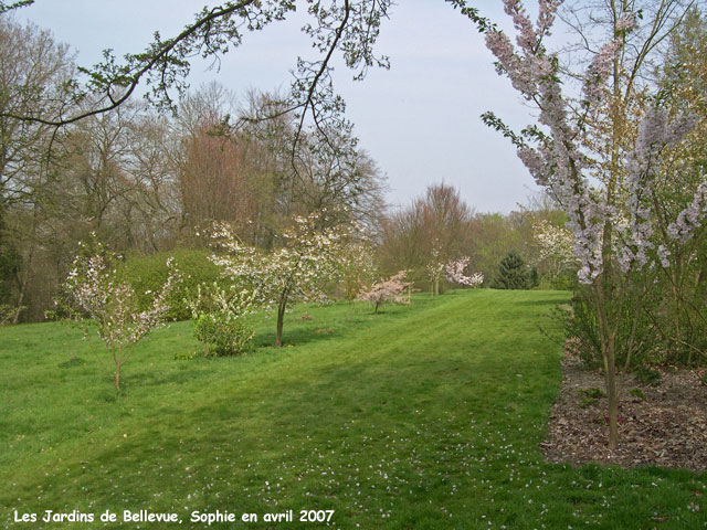 Les Jardins de Bellevue