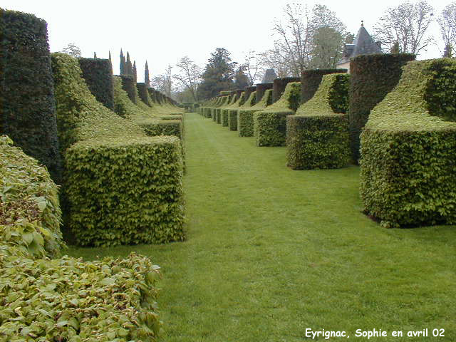 Eyrignac: les allées de topiaires