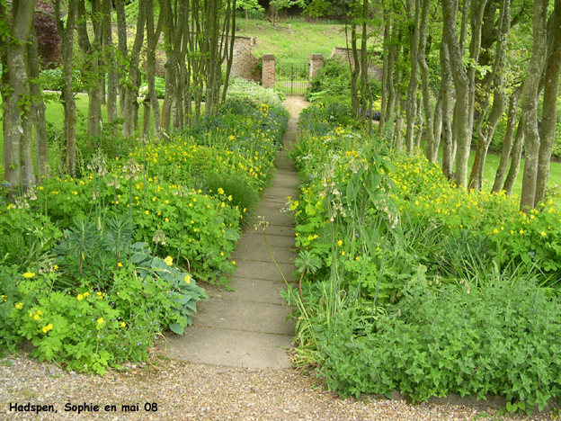 Hadspen: jardin jaune