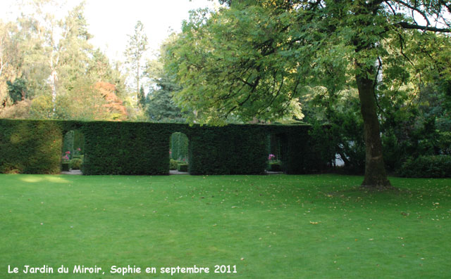 pelouse du jardin du miroir