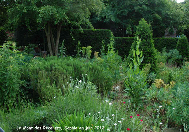 récollets : jardin sec