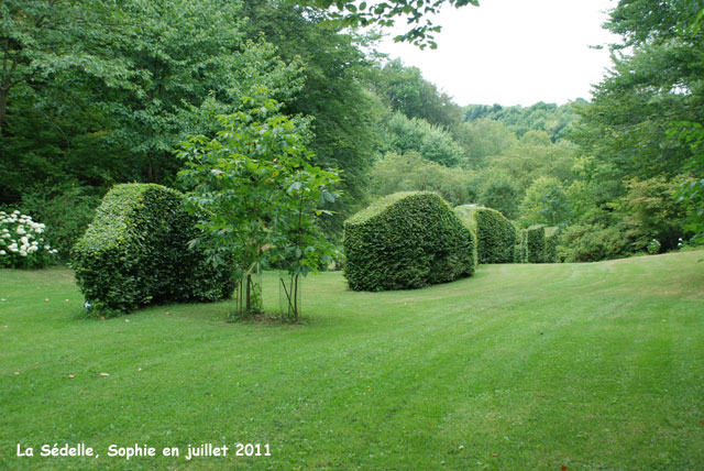 L'arboretum de la Sédelle